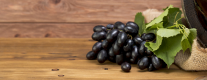 Scopri di più sull'articolo Il Vino Marchigiano…scopriamo di più!