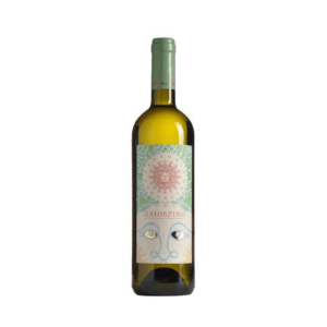 Verdicchio Castelli di Jesi Riserva Gaiospino Fattoria Coroncino