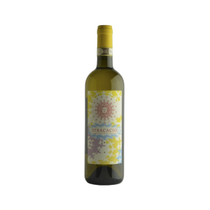 Verdicchio dei Castelli di Jesi Classico Superiore Stracacio Fattoria Coroncino