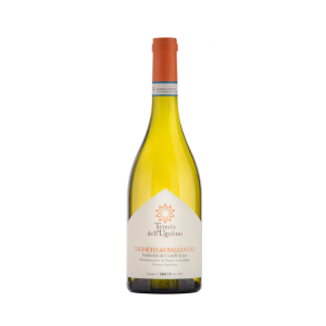Verdicchio dei Castelli di Jesi Classico Superiore Vigneto del Balluccio Tenuta dell’Ugolino