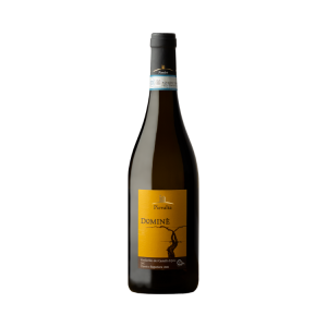 Verdicchio dei Castelli di Jesi DOC Classico Superiore Dominè Pievalta 2020